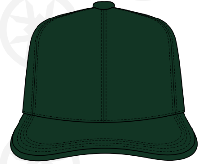 6245CM-VGRN Verdent Green Dad Cap with Brass Clip Adjustable